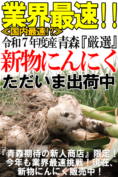 青森県にんにく5Kg L 免疫力UP 青森県産にんにく物語 Lサイズ 1Kネット | にんにく物語 青森