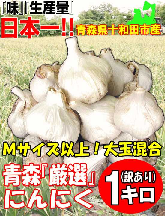 楽天市場】新物☆あす楽 にんにく 青森 1kg 訳あり Mサイズ以上