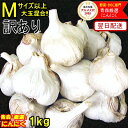 あす楽 にんにく 青森 1kg 訳あり Mサイズ以上大玉混合 【5kg以上送料無料】R7年度産 青森県産にんにく 訳あり 大玉混…