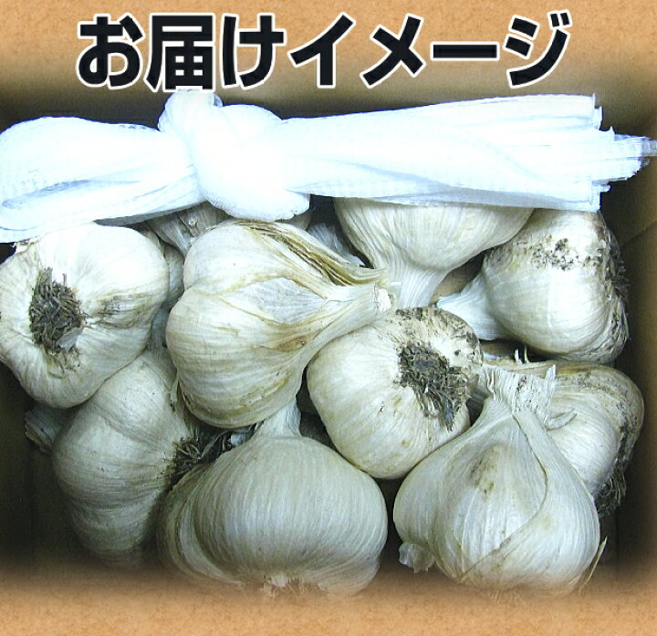 楽天市場】あす楽 にんにく 青森 10kg 訳あり Mサイズ以上大玉混合  