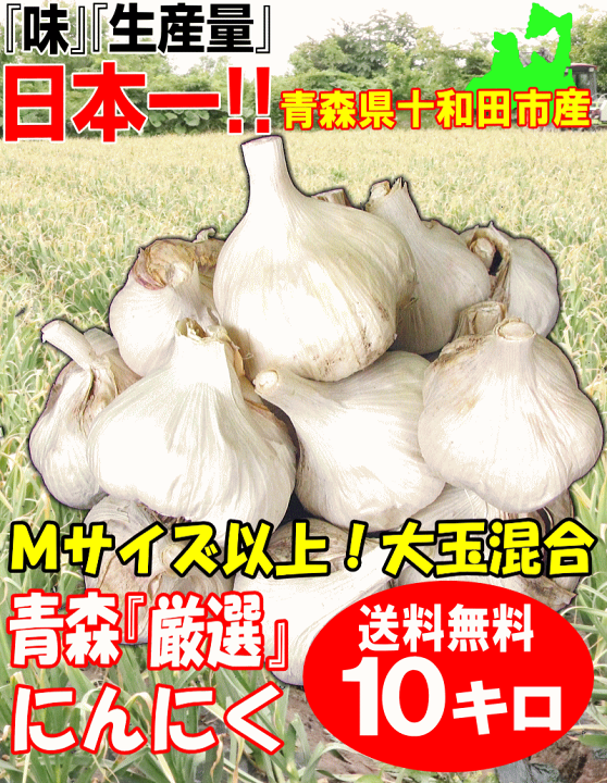 楽天市場】新物☆あす楽 にんにく 青森 10kg 訳あり Mサイズ以上