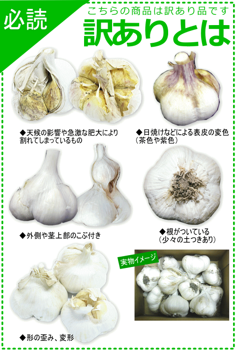 青森県産にんにく　Ｌ　１０ｋｇ　発芽　生活応援セール　本日限定価格 楽天市場】あす楽 にんにく 青森 10kg 訳あり Mサイズ以上大玉