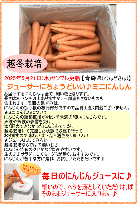 送料無料 いくらから 楽天市場】【クーポン利用で最大1000円引き】あす楽 産地が ウィッグ・エクステ