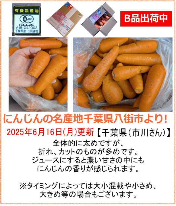楽天市場】【クーポン最大1000円引き】単品より安い【定期購入