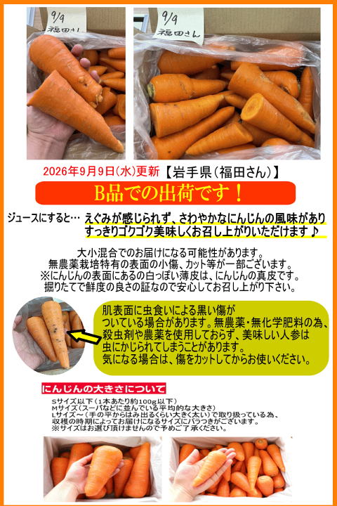 楽天市場】ポイント6倍【定期購入】にんじん 無農薬 B品5kg×2回コース