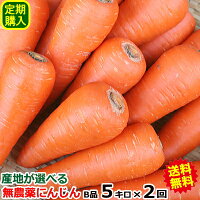 ����������ۻ��Ϥ����٤�̵�����ˤ󤸤���ʣ�����&times;����ʷף���������