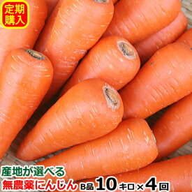 楽天市場 定期購入の通販