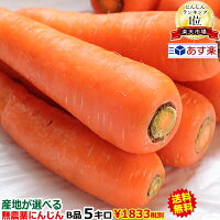 ���Ϥ����٤�̵�����ˤ󤸤�5��������̵��������