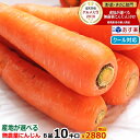 指定産地で2680円!【クール便対応】産地が選べる無農薬にんじん10キロ常温便送料無料 無農薬 無化学肥料 ゲルソン療法 酵素にんじん 無農薬 10kg[鹿児島...