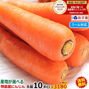 無農薬 にんじん 10kgの通販 価格比較 価格 Com