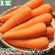 【豊作還元★500円引き】産地が選べる 有機 にんじん 5kg【送料無料】有機栽培 無農薬栽培 にんじん 5キ…