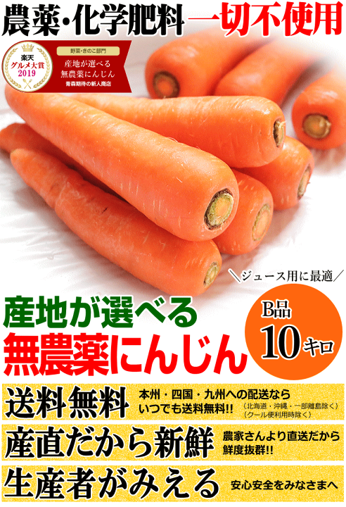 楽天市場】2980円⇒2680円！にんじん 10kg 訳あり 無農薬人参 産地が