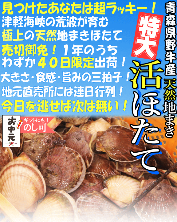 楽天市場】【8/8(金)終了】青森 野牛産 活ほたて 殻付き 選べる