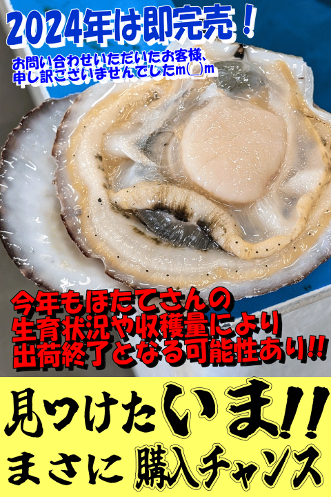 関西地方の方限定！漁師直送！野付産超特大活ホタテ１０キロ１枚400g以上 野付産天然ジャンボ活ほたて5㎏（野付産）｜北海道 根室 お