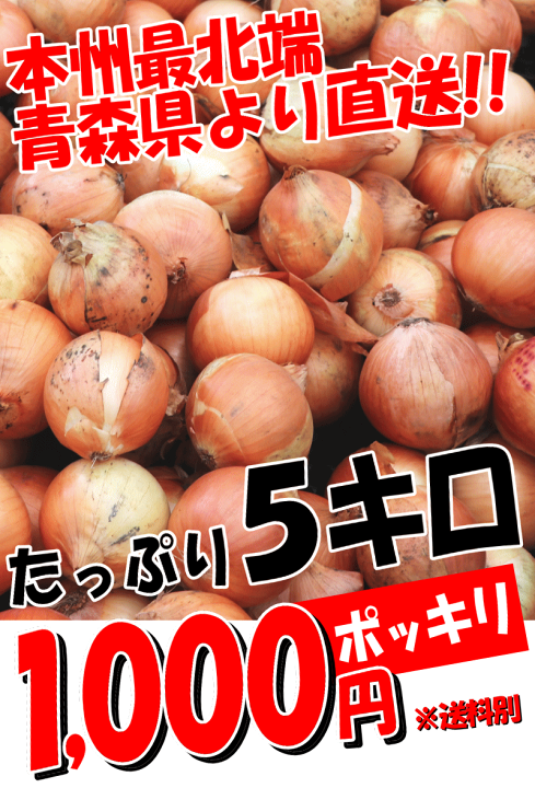 たまねぎ　5個 楽天市場】1000円ポッキリ！青森県産 雪下 玉ねぎ 訳あり 5kg♪大きさ