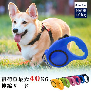  [h 3[g e[v^Lk[h O[h R h~ 莮 Lk[h hbO[h p[h 5M 3M  ׏d40kg ^ ^ ^ 3ۏ 100-03