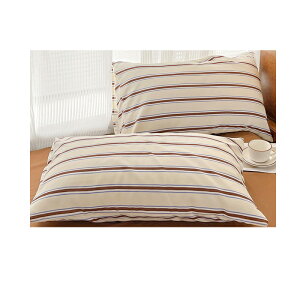 Jo[ 100 2 _炩 K  k Rbg z  􂦂 Q VRf zʋC ɗD 48cm*74cm  zcJo[ I[V[Y Vv Q R i`
