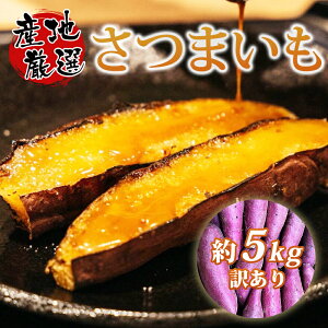  ܂ g͂邩 5kg  Tc}C  sTCY   Yn  a Y H g͂邩 g ̓VNXC[g Tc}C Ă tE錧
