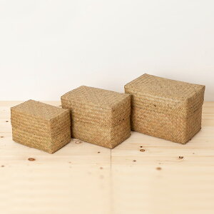 コンパクト整理かご 蓋付き レクタングル S/M/Lサイズ カチュー 水草 小物収納に 軽量 手編み タイ製