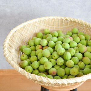 竹製 揚げざる 尺六寸/尺七寸 籐二重巻/銅線巻 4タイプ 青竹 水切り 麺類 調理用 大型ざる 天然素材 手仕事 日本製 新潟県