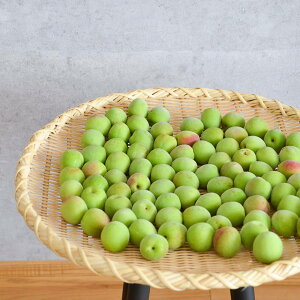 竹製 溜めざる 干しざる 尺六寸/尺七寸 籐二重巻/銅線巻 4タイプ 青竹 水切り 麺類 調理用 野菜干し 梅仕事 天然素材 手仕事 日本製 新潟県