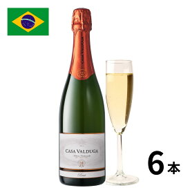 ブラジル アルテ・トラディショナルブリュット瓶 (750ml x 6本入)入 スパークリングワイン ブラジルワイン 正規輸入品