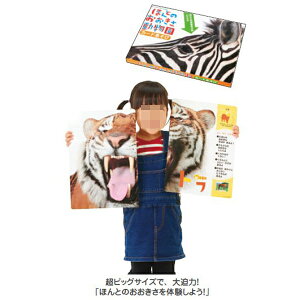 قƂ̂J[h  mߋ LbY q 3 4 5