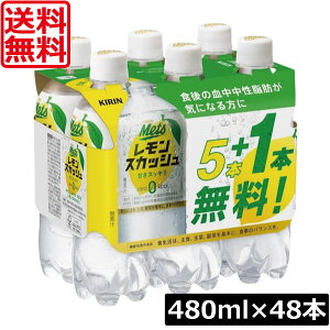  L bc XJbV y480ml×5{{1{pbNz×2y48{zKIRIN @\\Hi bcvX XJbV T[rXpbN