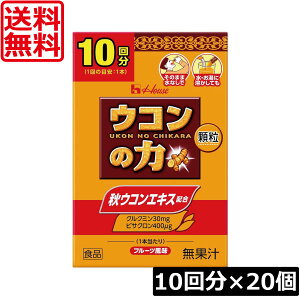  nEXEFlX ER̗  (10) ×20 XeBbN