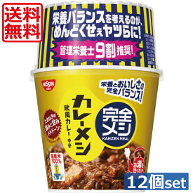 送料無料 日清食品 完全メシ カレーメシ 欧風カレー119g×2箱 【12個】