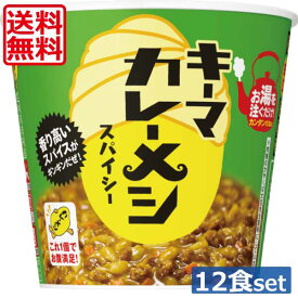 送料無料 日清食品 キーマカレーメシ スパイシー 105g×2箱 【12個】