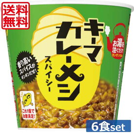 送料無料 日清食品 キーマカレーメシ スパイシー 105g×1箱 【6個】