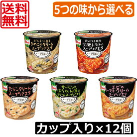 送料無料 クノール スープDELI 5つの味から2種類選べる12個セット スープデリ 味の素 完熟トマトスープパスタ きのこのクリームスープパスタ サーモンとほうれん草のクリームスープパスタ エビとトマトクリームスープパスタ たらこクリームスープパスタ