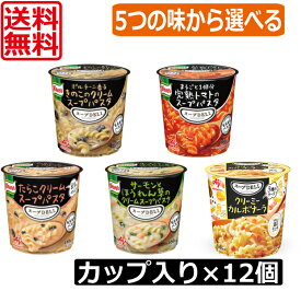 【本日限定ポイントアップ中】送料無料 クノール 5つの味から2種類選べる12個セット スープデリ 味の素 完熟トマトスープパスタ きのこのクリームスープパスタ サーモンとほうれん草のクリームスープパスタ たらこクリームスープパスタ　クリーミーカルボナーラ