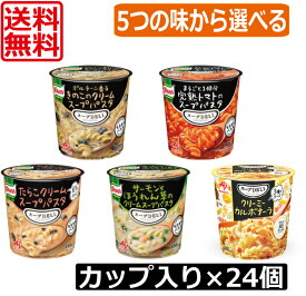 【本日限定ポイントアップ中】送料無料 クノール 5つの味から2種類選べる12個セット スープデリ 味の素 完熟トマトスープパスタ きのこのクリームスープパスタ サーモンとほうれん草のクリームスープパスタ たらこクリームスープパスタ　クリーミーカルボナーラ