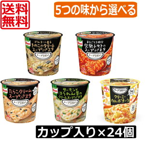 送料無料 クノール 5つの味から2種類選べる12個セット スープデリ 味の素 完熟トマトスープパスタ きのこのクリームスープパスタ サーモンとほうれん草のクリームスープパスタ たらこクリ