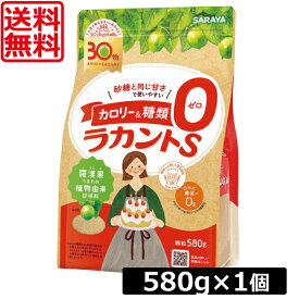 【本日限定ポイントアップ中】送料無料 サラヤ　ラカントS顆粒 580g　×1袋 　あす楽対応
