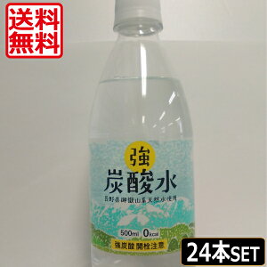  F Y_ 500ml×24{ 1P[X 쌧ԎRnVRgp