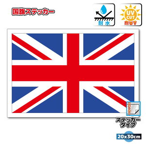 y󒍐YzCMXXebJ[iV[j Oόϐ 20cm×30cm@jIWbN@[bp@^X[cP[XԂȂǂɁI@h ʔ ̔ yV COs