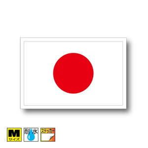 {XebJ[iV[jOόϐ MTCY 8cm×12cm@͊E̊ہ@AWA@^X[cP[X  ȂǂɁI@h ʔ ̔ yV COs@{ ObY ΂ {