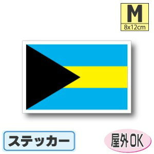 on}XebJ[iV[jOόϐ MTCY 8cm×12cm@^X[cP[XԂȂǂɁI@h ʔ ̔ yV COs