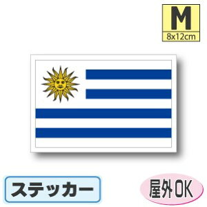 EOACXebJ[iV[jOόϐ MTCY 8cm×12cm@ā@^X[cP[XԂȂǂɁI@h ʔ ̔ yV COs