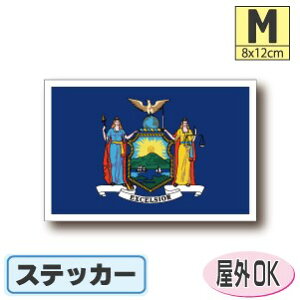 j[[NBXebJ[iV[jOόϐ MTCY 8cm×12cm@@AJEUSAEAJObY@^X[cP[XԂȂǂɁI@h ʔ ̔ yV COs