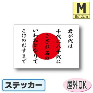 N{{XebJ[iV[jOόϐ MTCY 8cm×12cm@͊E̊ہ@^X[cP[XԂȂǂɁI@h ʔ ̔ yV COs