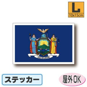 j[[NBXebJ[iV[jOόϐ LTCY 10cm×15cm@@AJEUSAEAJObY@^X[cP[XԂȂǂɁI@h ʔ ̔ yV COs