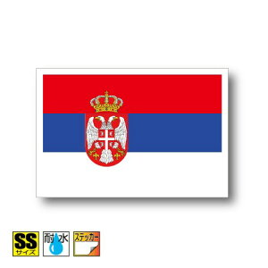 ZrAXebJ[iV[j Oόϐ SSTCY 3.3cm×5cm@[bp@^h   UVJbg   CO s X|[c ϐ   X[cP[X  X}z g 