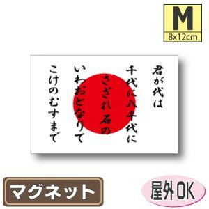 N{{}OlbgMTCY 8cm×12cm@͊E̊  }OlbgXebJ[   Oό UV ϐ h