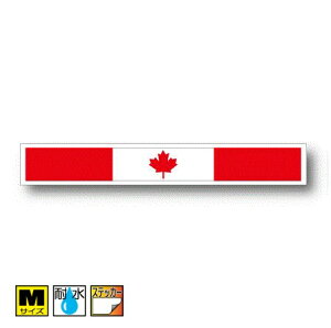 oi[^Cv@Ji_XebJ[iV[jOόdl MTCY:3cm×20cm