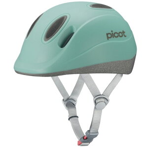 OGKJug sRbg(PICOT) }bgANAO[ wbg