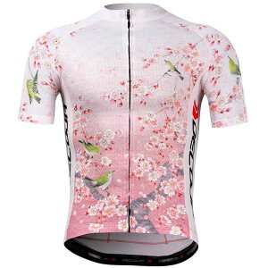 DECOJA(fRW) TCNW[W  ƃW a